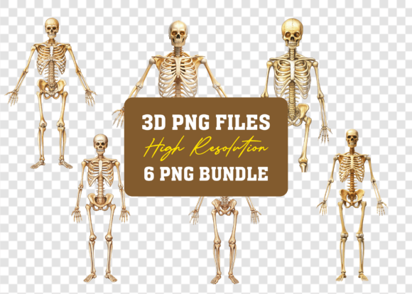 3D PNG Human Bone Sketch Mega Bundle