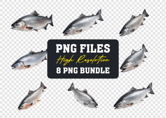 3D Salmon Fish Animal PNG Mega Bundle: Your Ultimate Design Solution