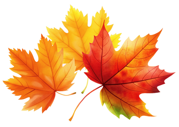 Enhance Your Creative Projects with 3D Autumn Red Maple Leaf Watercolor PNG