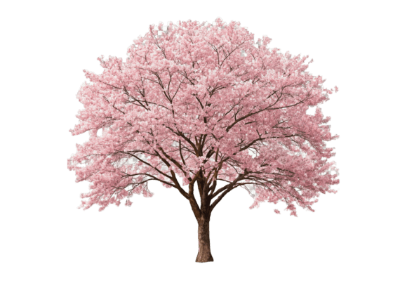High-Quality Sakura Tree 3D PNG Files