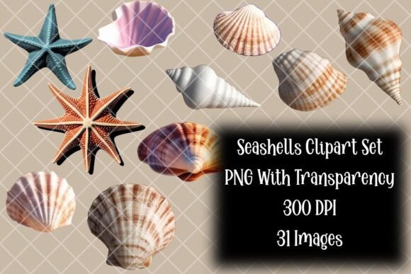 Unlock Your Creativity with Seashells 3D Clipart Bundle