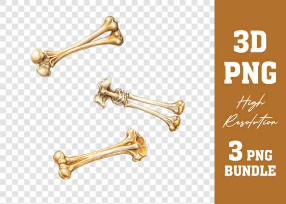 Unlocking Creative Potential with the 3D PNG Human Bones Mega Bundle